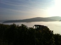 Bastis Iphone 2011 208 : Bastis Iphone 2011